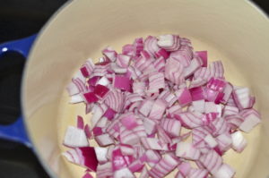 cauliflower soup- onions